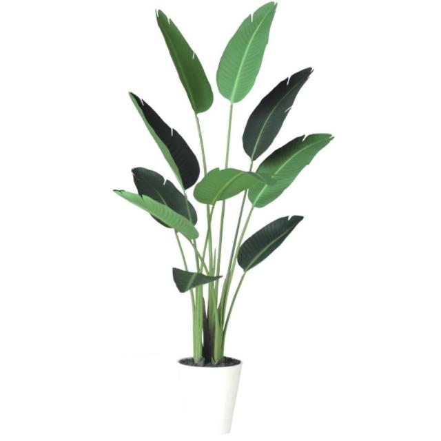 人工観葉植物 オーガスタ 150 ポット付き 高さ150cm （P90-91876