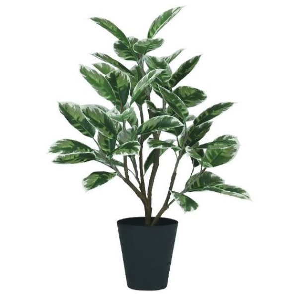人工観葉植物 デコラトリカラー FST 80 ポット付き 高さ80cm （P50-91878) （代引き不可） インテリアグリーン フェイクグリーン