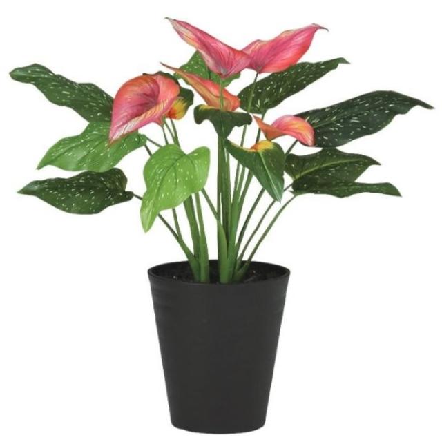 人工観葉植物 カラー ポット付き 高さ55cm （P98-91881) （代引き不可