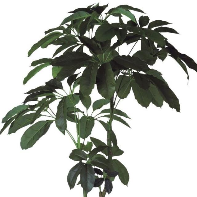 人工観葉植物 ブラッサイア 210 ポット付き 高さ210cm （P45-91882) （代引き不可） インテリアグリーン フェイクグリーン_1