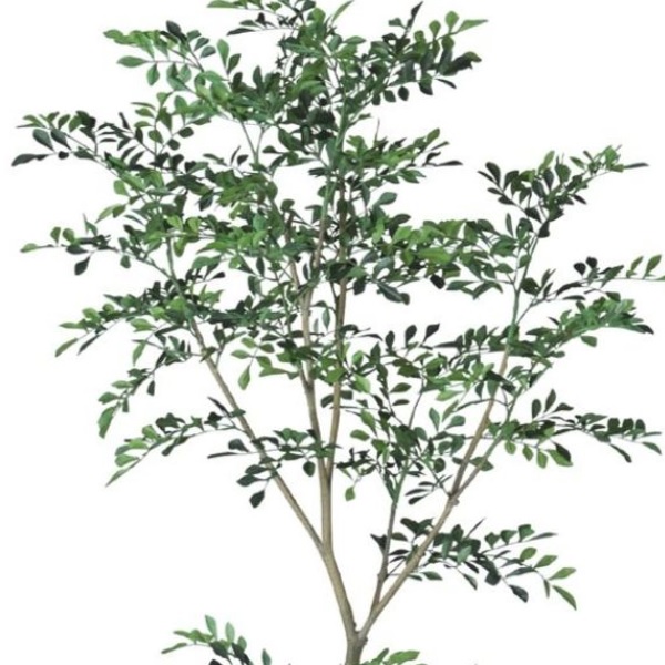 人工観葉植物 トネリコ FST 150 ポット付き 高さ150cm （P76-91887) （代引き不可） インテリアグリーン フェイクグリーン_1