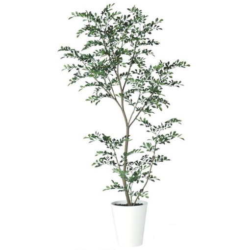 人工観葉植物 トネリコ FST 180 ポット付き 高さ180cm （P76-91888) （代引き不可） インテリアグリーン フェイクグリーンの通販は