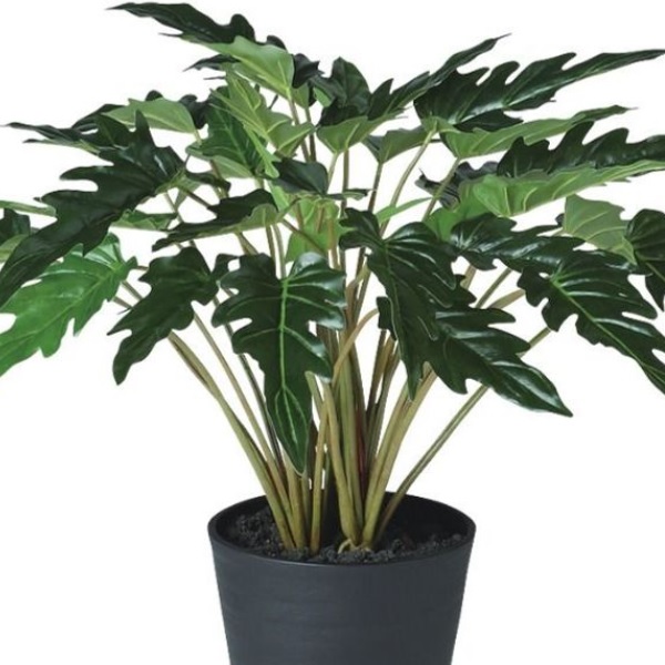 人工観葉植物 クッカバラ ポット付き 高さ50cm （P111-91891) （代引き不可） インテリアグリーン フェイクグリーン_1