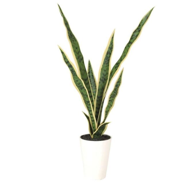 人工観葉植物 サンスベリア ポット付き 高さ65cm （P98-91894) （代引き不可） インテリアグリーン フェイクグリーン