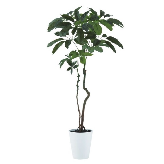 人工観葉植物 ブラッサイア 170 ポット付き 高さ170cm （P45-91899) （代引き不可） インテリアグリーン フェイクグリーン