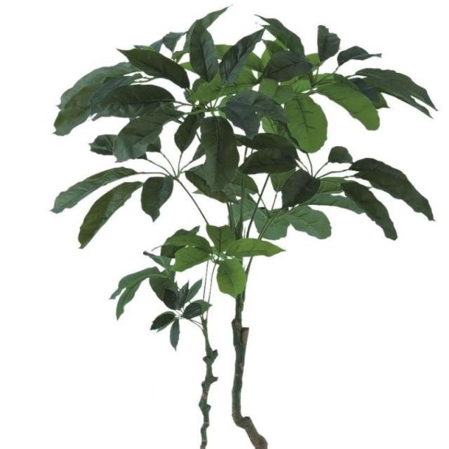 人工観葉植物 ブラッサイア 170 ポット付き 高さ170cm （P45-91899) （代引き不可） インテリアグリーン フェイクグリーン_1