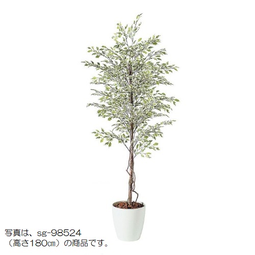 人工観葉植物 ベンジャミナスターライト 150 natural ポット付き 高さ150cm （P57-98525) （代引き不可） インテリアグリーン フェイクグリーン