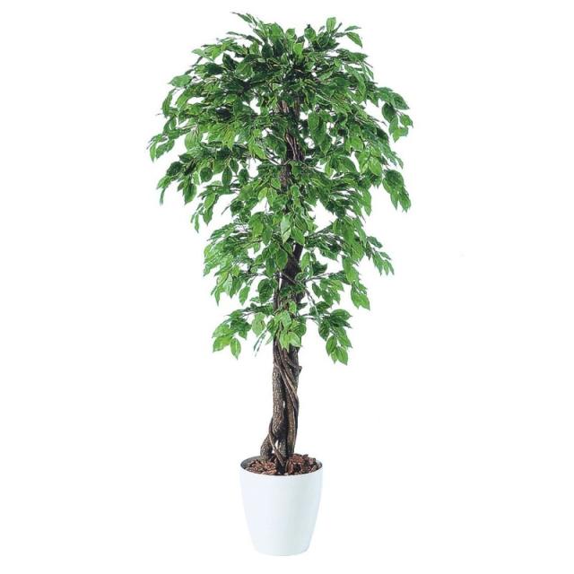 人工観葉植物 ベンシャミナスプラッシュリアナ 180 natural ポット付き 高さ180cm （P59-98533) （代引き不可） インテリアグリーン フェイクグリーン
