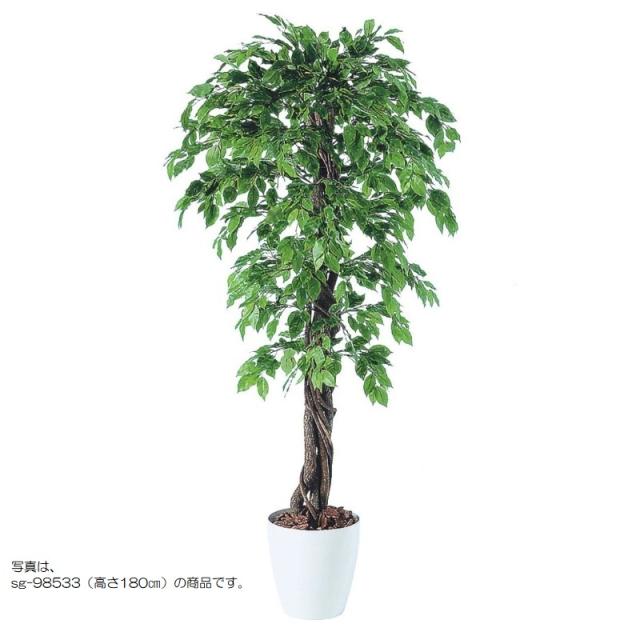 人工観葉植物 ベンシャミナスプラッシュリアナ 150 natural ポット付き 高さ150cm （P59-98534) （代引き不可） インテリアグリーン フェイクグリーン