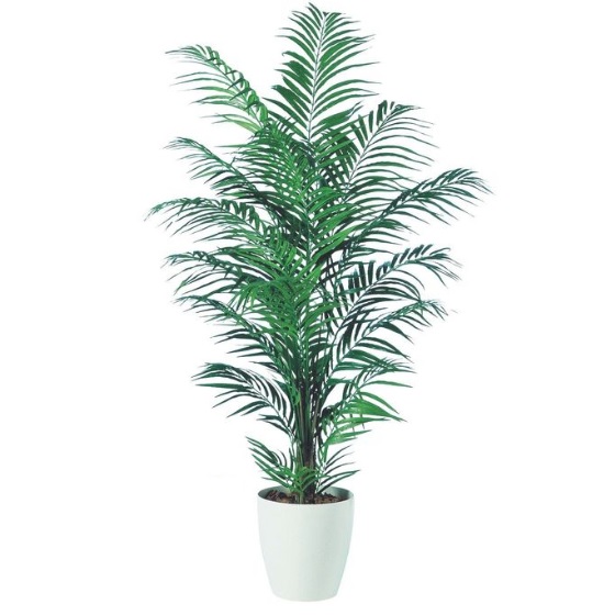 人工観葉植物 緑色 高さ約180cm*説明確認してください* 人工観葉植物 アカシヤシ 180 ポット付き 高さ180cm （P87-98548