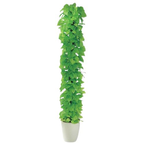 人工観葉植物 ライムポトスヘゴ 180 Pole style ポット付き 高さ180cm （P69-98639) （代引き不可） インテリアグリーン フェイクグリーン