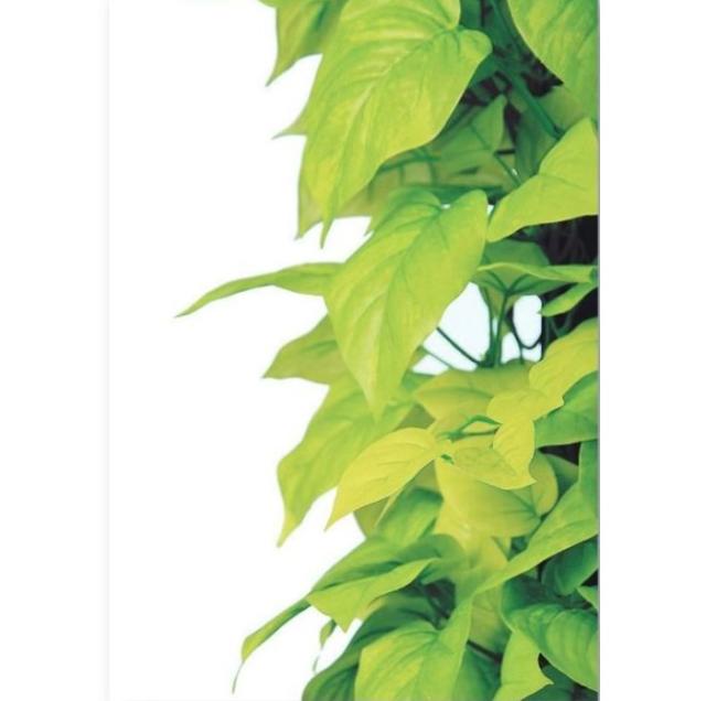 人工観葉植物 ライムポトスヘゴ 180 Pole style ポット付き 高さ180cm （P69-98639) （代引き不可） インテリアグリーン フェイクグリーン_1