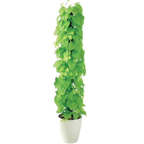 人工観葉植物 ライムポトスヘゴ 150 Pole style ポット付き 高さ150cm （P69-98641) （代引き不可） インテリアグリーン フェイクグリーン