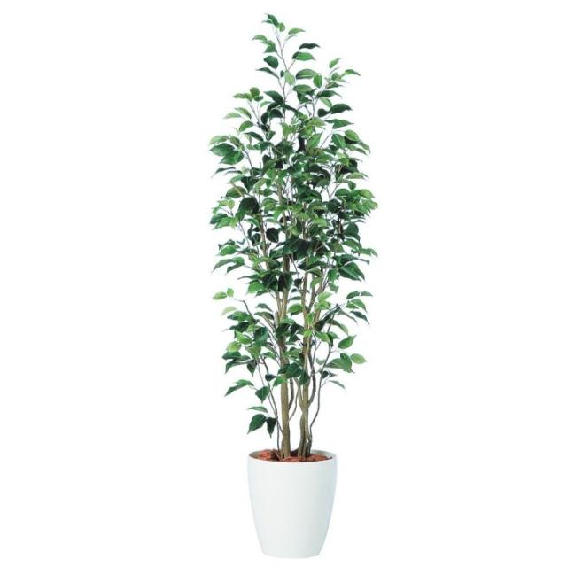 人工観葉植物 ベンジャミン スリム FST 150 ポット付き 高さ150cm （P56-98649) （代引き不可） インテリアグリーン フェイクグリーン