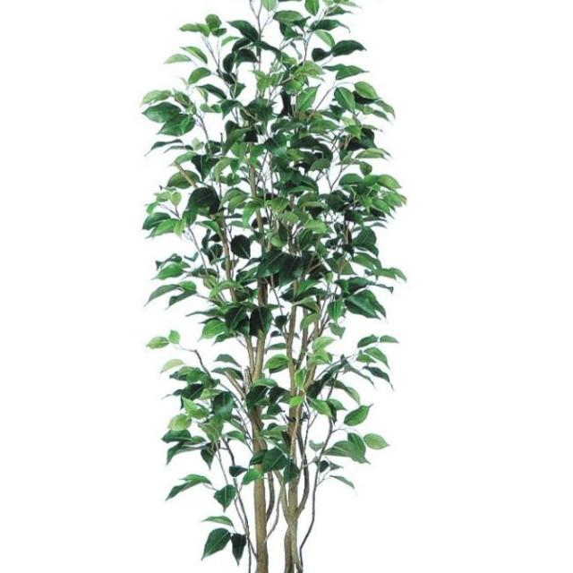 人工観葉植物 ベンジャミン スリム FST 150 ポット付き 高さ150cm （P56-98649) （代引き不可） インテリアグリーン フェイクグリーン_1