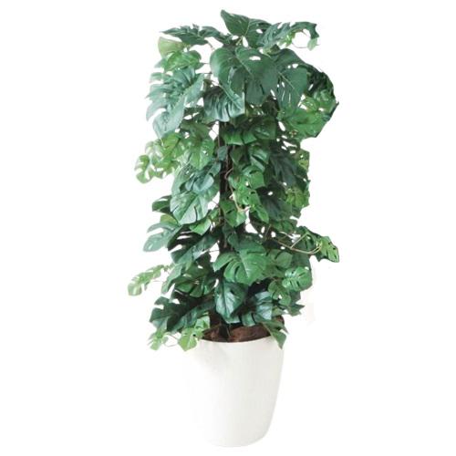人工観葉植物 ヒメモンステラヘゴ -DX 90 Pole style ポット付き 高さ90cm （P71-98653) （代引き不可） インテリアグリーン フェイクグリーン