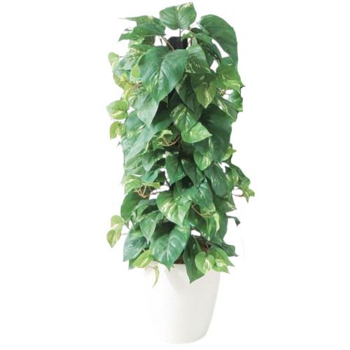 人工観葉植物 ポトスヘゴ -DX 90 Pole style ポット付き 高さ90cm （P71-98657) （代引き不可） インテリアグリーン フェイクグリーン