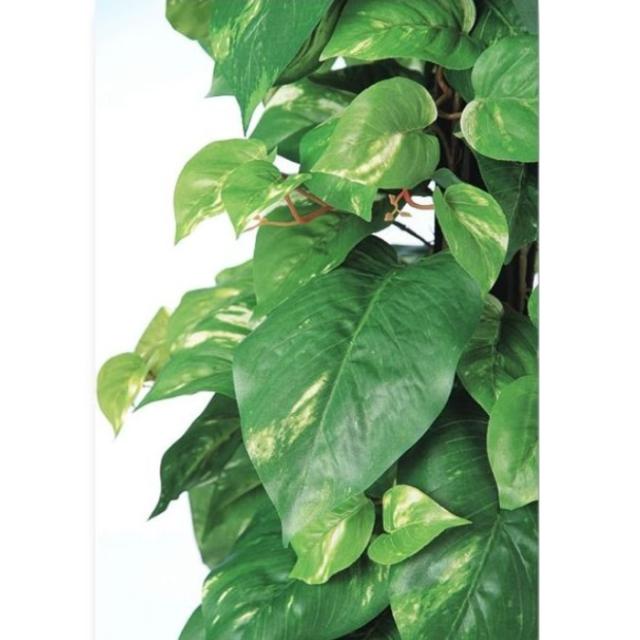 人工観葉植物 ポトスヘゴ -DX 90 Pole style ポット付き 高さ90cm （P71-98657) （代引き不可） インテリアグリーン フェイクグリーン_1