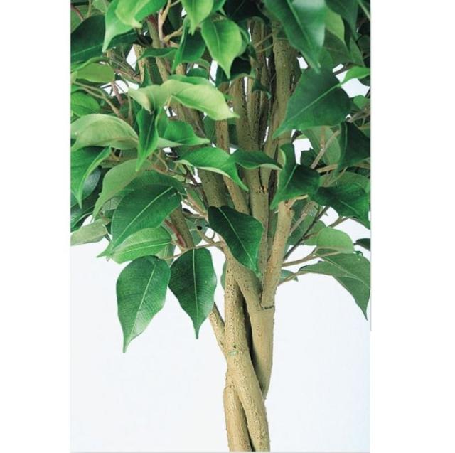 人工観葉植物 ベンジャミン トピアリー FST 150 ポット付き 高さ150cm （P56-98659) （代引き不可） インテリアグリーン フェイクグリーン_2