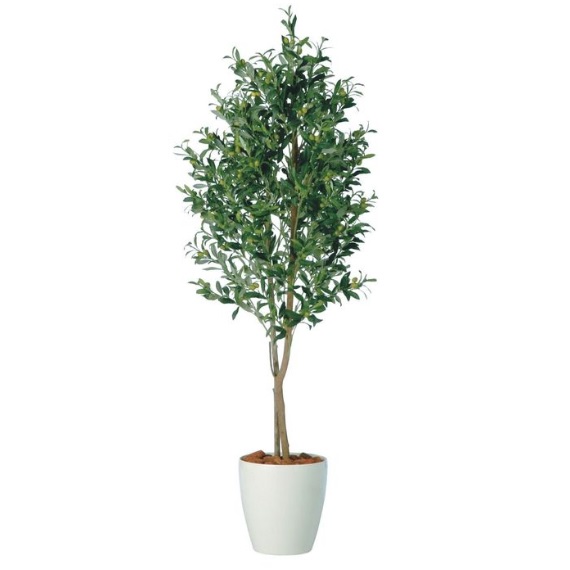 人工観葉植物 ライプオリーブデュアル 180 ポット付き 高さ180cm （P79-98663) （代引き不可） インテリアグリーン フェイクグリーン