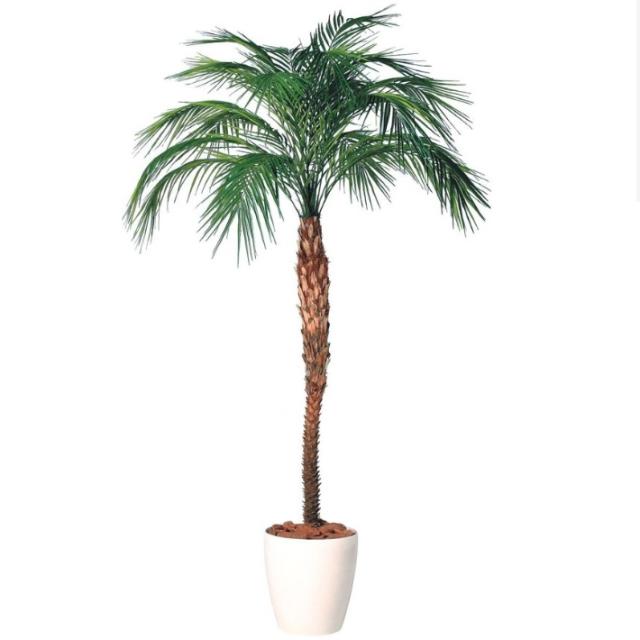 フェニックスロベレニー（200） 人工観葉植物 フェニックス・ロベレニー 200〜300 ポット付き 高さ200