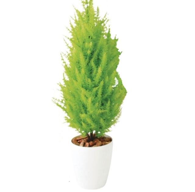 人工観葉植物 ゴールドクレストツリー 110 ポット付き 高さ110cm （P81-98838) （代引き不可） インテリアグリーン フェイクグリーン