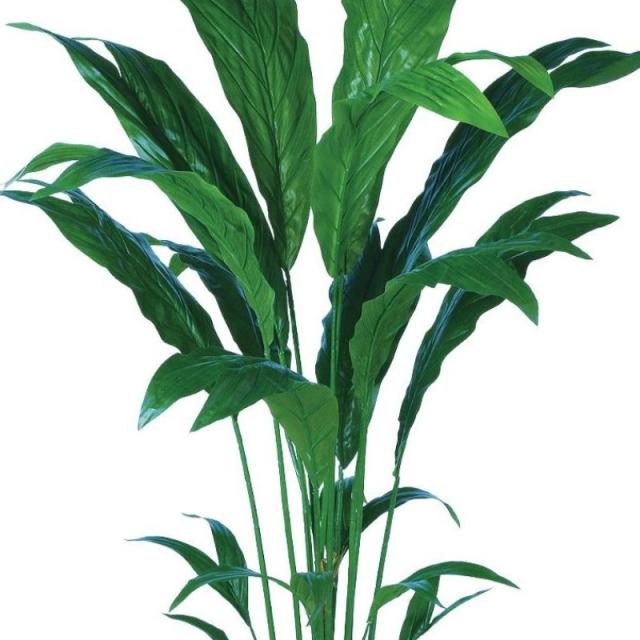 人工観葉植物 チャメドレア 160 ポット付き 高さ160cm （P91-98878) （代引き不可） インテリアグリーン フェイクグリーン_1