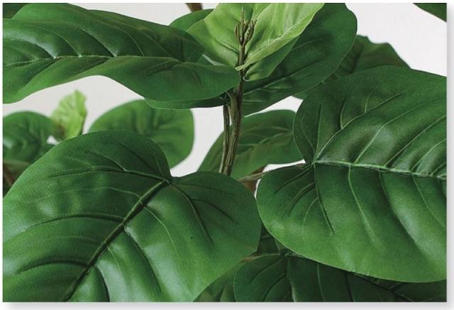 人工観葉植物 ウンベラータ FST 120 ポット付き 高さ120cm （P43-98917) （代引き不可） インテリアグリーン フェイクグリーン_1