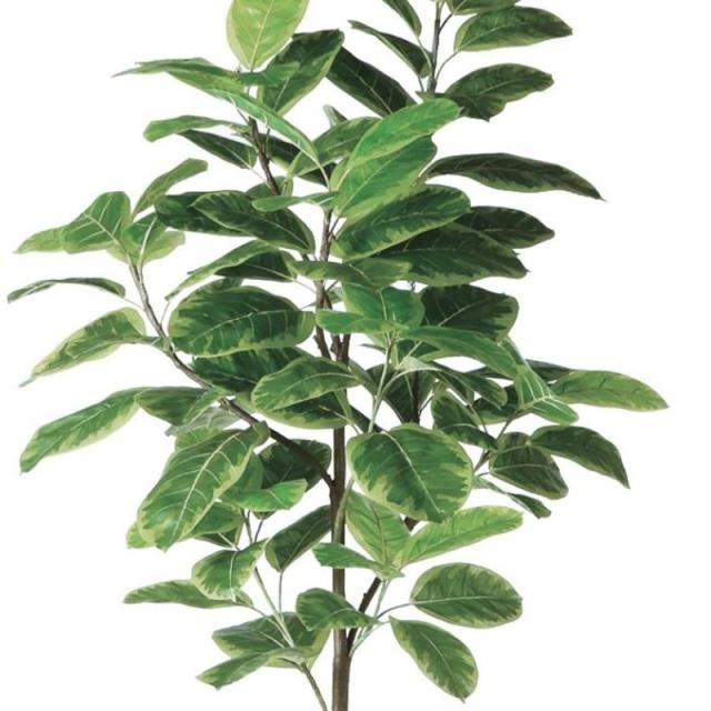 人工観葉植物 アルテシマ FST 200 ポット付き 高さ200cm （P49-98926) （代引き不可） インテリアグリーン フェイクグリーン_1