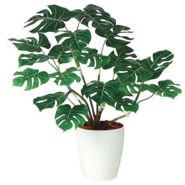 人工観葉植物 モンステラ R 70 ポット付き 高さ70cm （P93-98947) （代引き不可） インテリアグリーン フェイクグリーンの通販は 15,550円