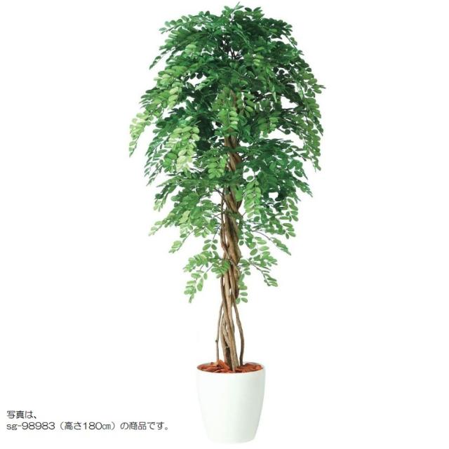 人工観葉植物 アカシアリアナ 150 ポット付き 高さ150cm （P80-98985) （代引き不可） インテリアグリーン フェイクグリーンの通販は