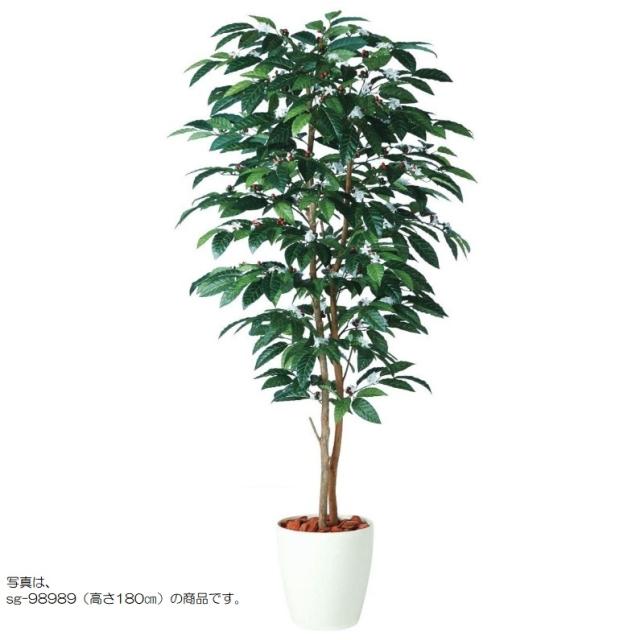 人工観葉植物 コーヒーデュアル 150 ポット付き 高さ150cm （P80-98991) （代引き不可） インテリアグリーン フェイクグリーン