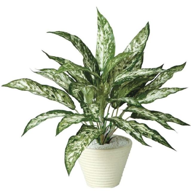 人工観葉植物 アグラオネマ ポット付き 高さ40cm （P112-99054) （代引き不可） インテリアグリーン フェイクグリーン