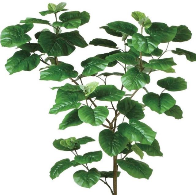 人工観葉植物 ウンベラータ FST 150 ポット付き 高さ150cm （P42-99103) （代引き不可） インテリアグリーン フェイクグリーン_1
