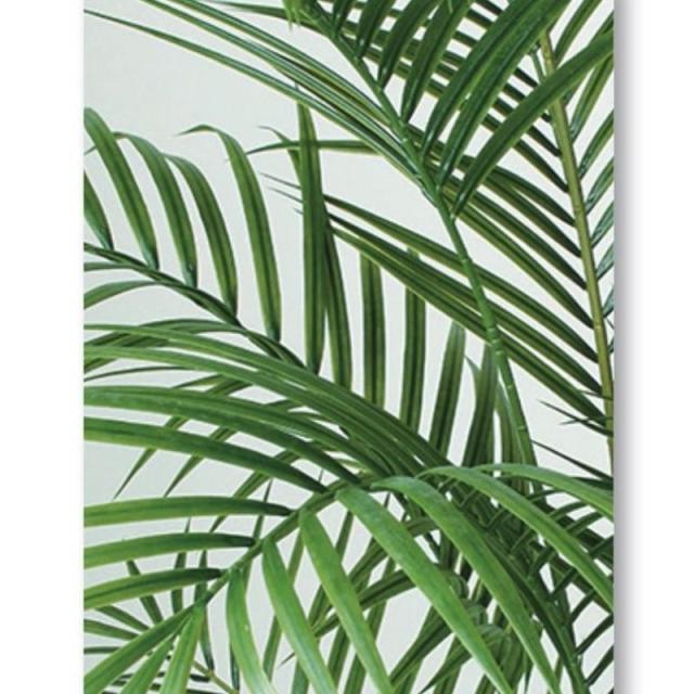 人工観葉植物 アカシヤシ PE 130 ポット付き 高さ130cm （P85-99159) （代引き不可） インテリアグリーン フェイクグリーン_1