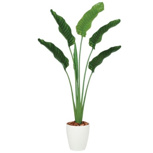 人工観葉植物 ストレチア・オーガスタ 160 ポット付き 高さ160cm （P89-99166) （代引き不可） インテリアグリーン フェイクグリーンの通販は