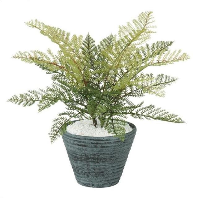 人工観葉植物 フェザーファン ポット付き 高さ30cm （P99-99205) （代引き不可） インテリアグリーン フェイクグリーン