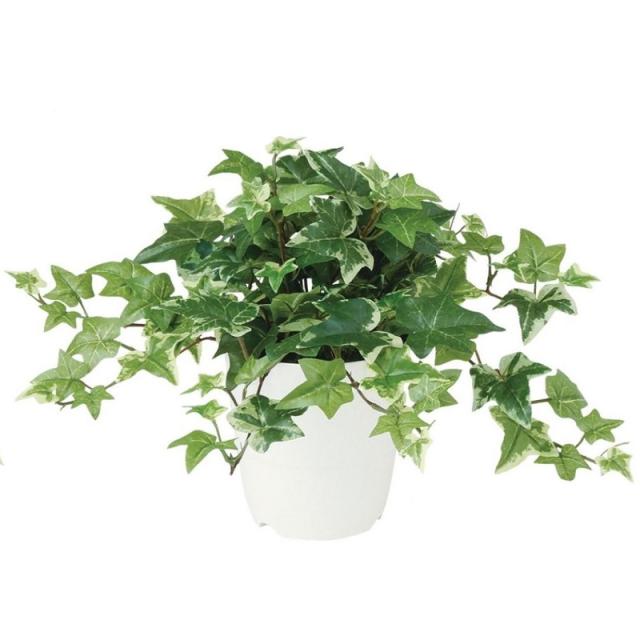 アイビー風 パネル　人工観葉植物　3セット　フェイクグリーン　パーテション アイビー風 パネル 人工観葉植物 3セット フェイクグリーン 人工観葉