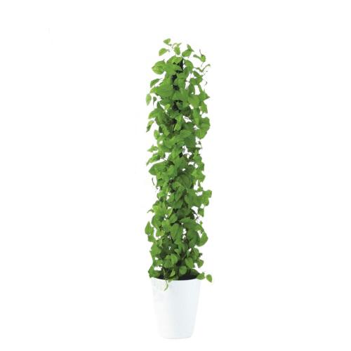 人工観葉植物 ライムポトスヘゴ 150 Pole style ポット付き 高さ150cm （P69-99305) （代引き不可） インテリアグリーン フェイクグリーン