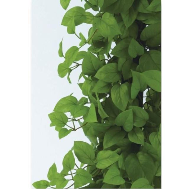 人工観葉植物 ライムポトスヘゴ 90 Pole style ポット付き 高さ90cm （P69-99306) （代引き不可） インテリアグリーン フェイクグリーン_1