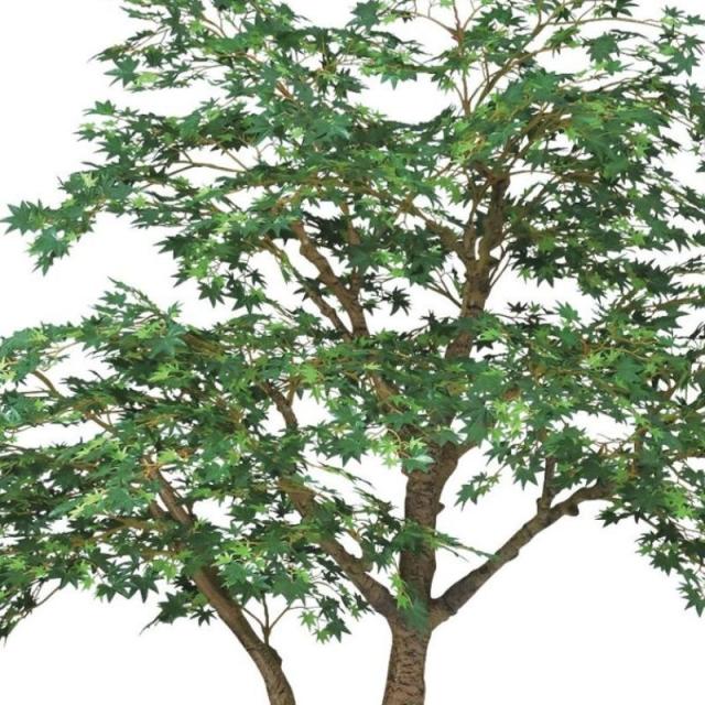 光触媒　人工観葉植物　フェイクグリーン　ヤマモミジ GREEN コアッド230 光触媒 人工観葉植物 フェイクグリーン ヤマモミジ GREEN コアッド230