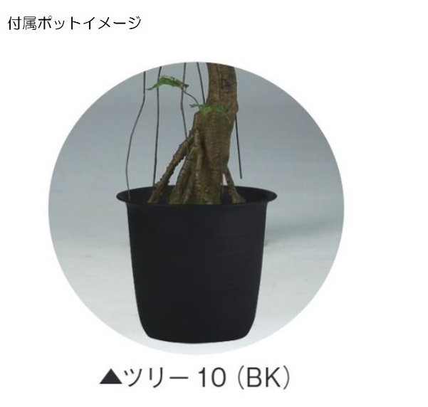 人工観葉植物 ヤマモミジ RED コアッド 230 ポット付き 高さ230cm （P18-99339) （代引き不可） インテリアグリーン フェイクグリーン_2