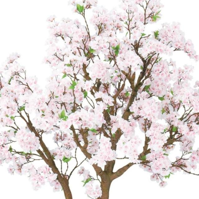 人工観葉植物 桜 コアッド 200 高さ200cm （P19-99342) （代引き不可） インテリアグリーン フェイクグリーン_1