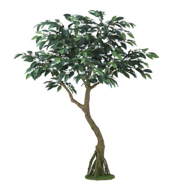 人工観葉植物 コーヒー コアッド 230 ポット付き 高さ230cm （P16-99345) （代引き不可） インテリアグリーン フェイクグリーンの通販は
