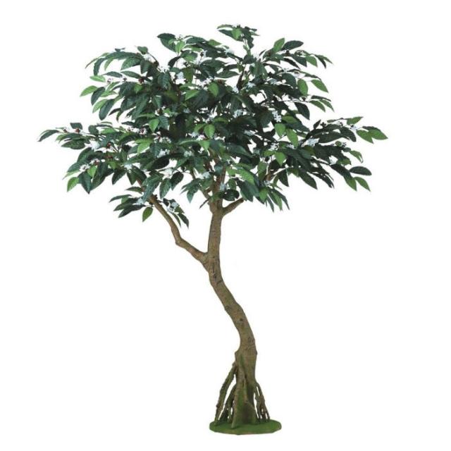 人工観葉植物 コーヒー コアッド 200 高さ200cm （P16-99346) （代引き不可） インテリアグリーン フェイクグリーン