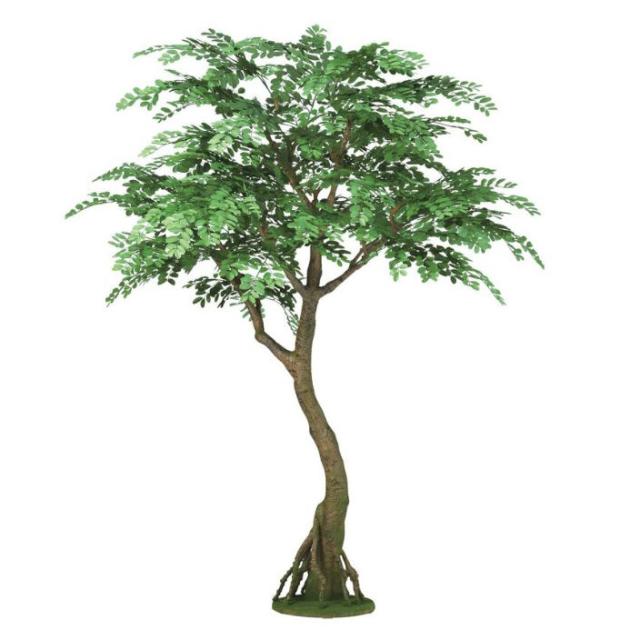 人工観葉植物 アカシア コアッド 230 ポット付き 高さ230cm （P12-99347) （代引き不可） インテリアグリーン フェイクグリーン