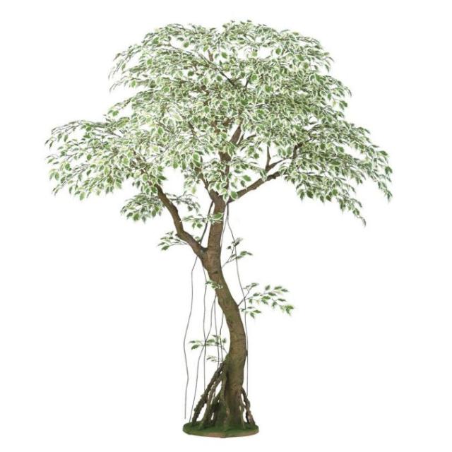 人工観葉植物 ベンシャミナスターライト コアッド 230 ポット付き 高さ230cm （P14-99357) （代引き不可） インテリアグリーン フェイクグリーン