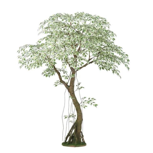人工観葉植物 ベンシャミナスターライト コアッド 200 高さ200cm （P14-99358) （代引き不可） インテリアグリーン フェイクグリーン