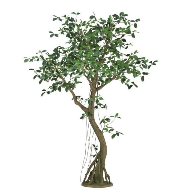 人工観葉植物 ガジュマル コアッド 230 ポット付き 高さ230cm （P14-99363) （代引き不可） インテリアグリーン フェイクグリーン