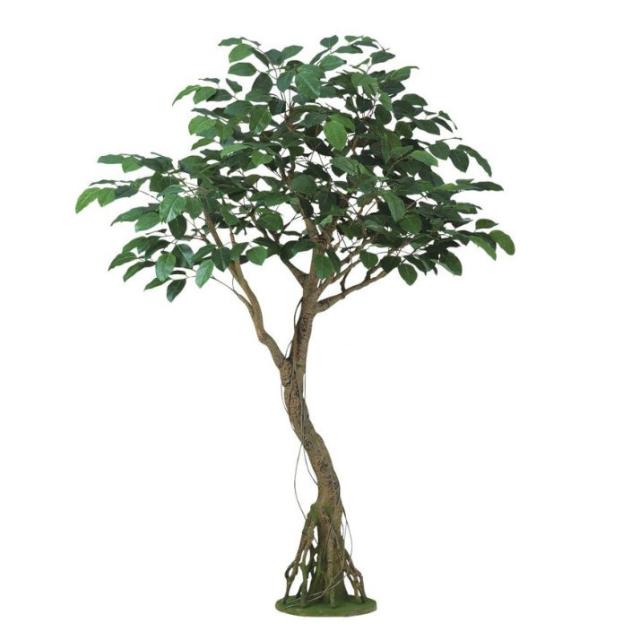 人工観葉植物 ベンガルボダイジュ コアッド 230 ポット付き 高さ230cm （P12-99365) （代引き不可） インテリアグリーン フェイクグリーン